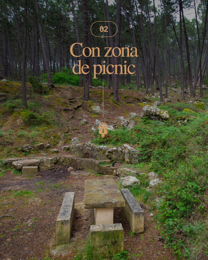 zona-picnic-cuenca