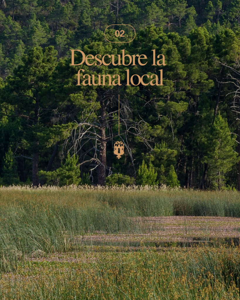 Rutas-Senderismo-Talayuelas-Cuenca